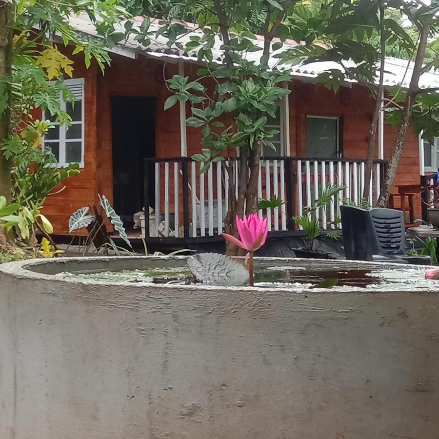 My House Ahangama Bagian luar foto