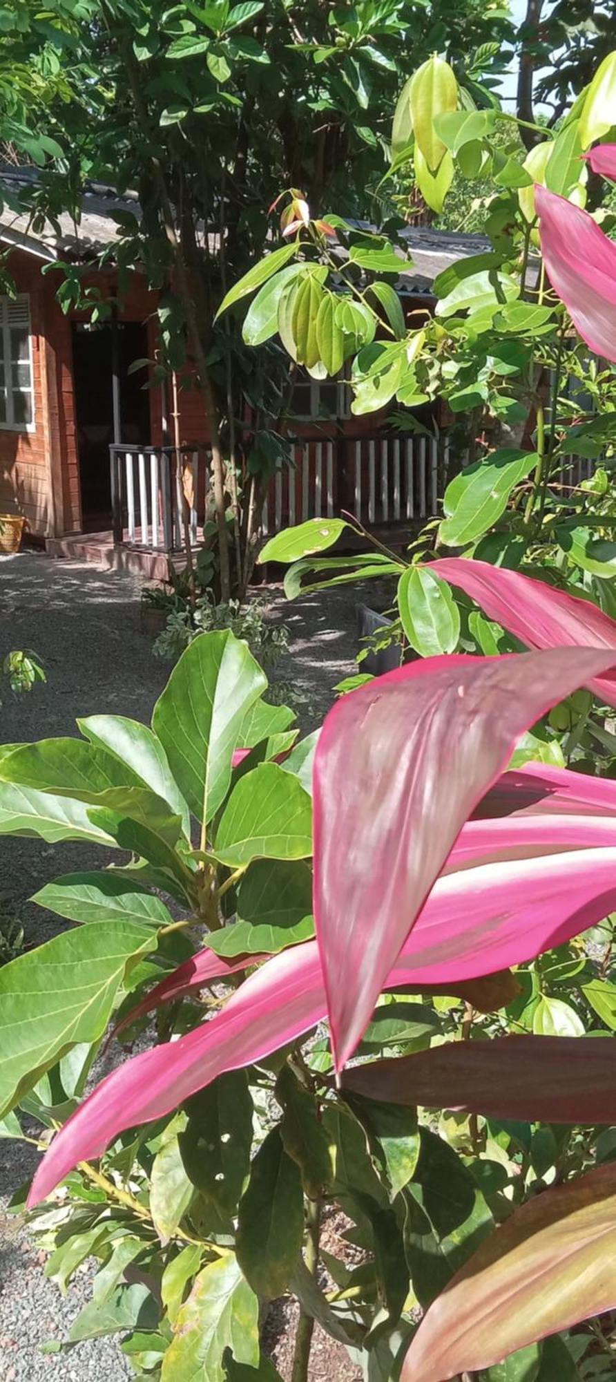 My House Ahangama Bagian luar foto