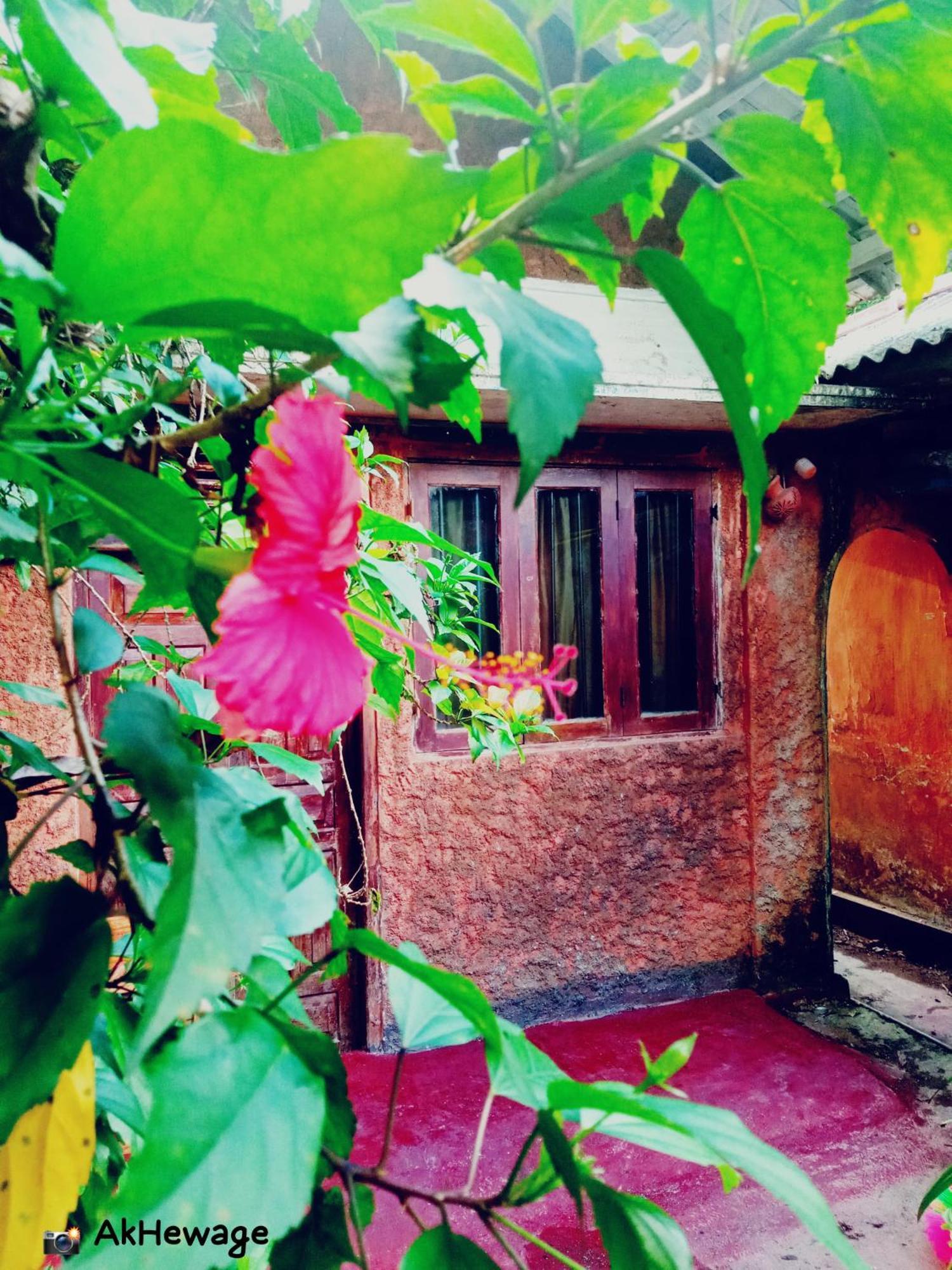 My House Ahangama Ruang foto